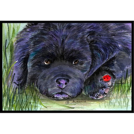 Carolines Treasures 18 x 27 in. Newfoundland Indoor Outdoor Doormat CA78965